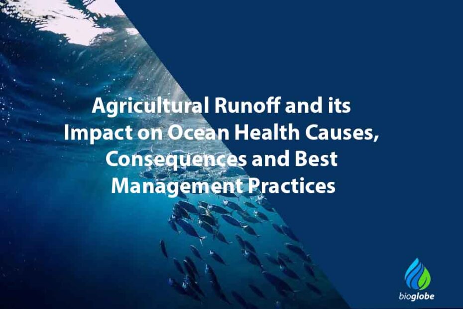 Agricultural Runoff and its Impact on Ocean Health Causes Consequences and Best Management Practices