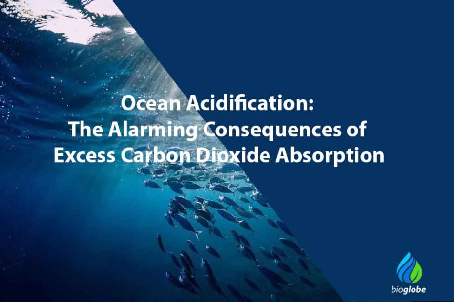 Ocean Acidification The Alarming Consequences of Excess Carbon Dioxide Absorption