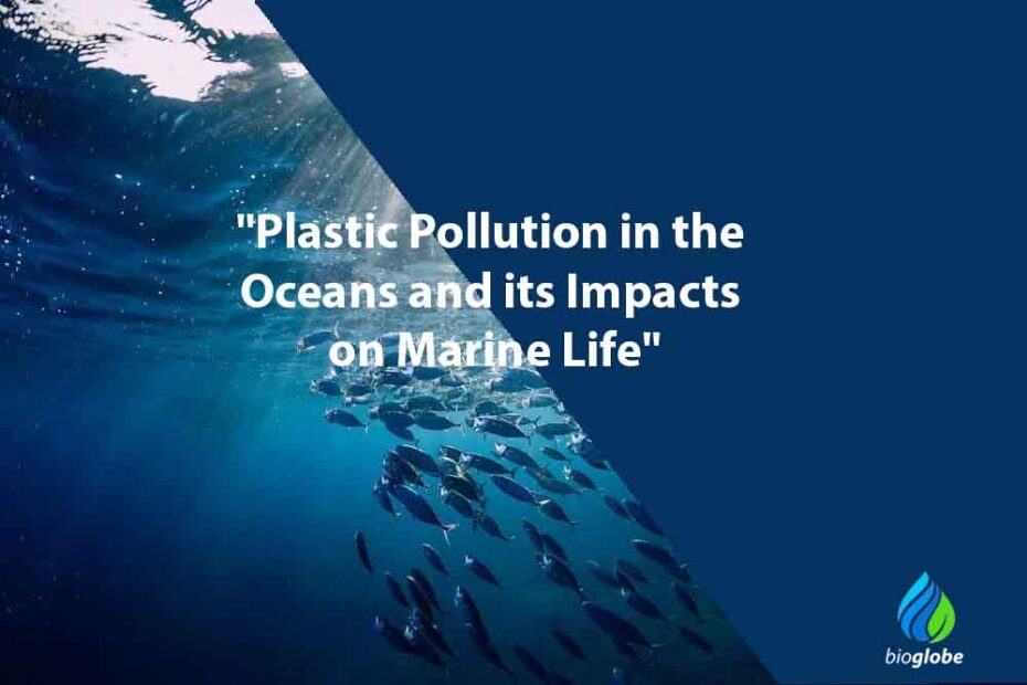 Plastic Pollution in the Oceans and its Impacts on Marine Life