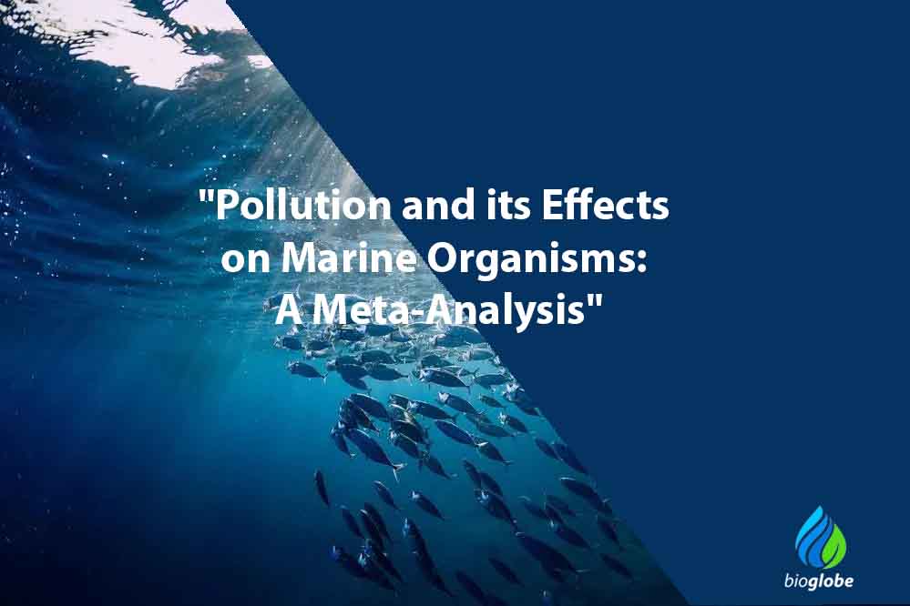 Pollution and its Effects on Marine Organisms A Meta Analysis