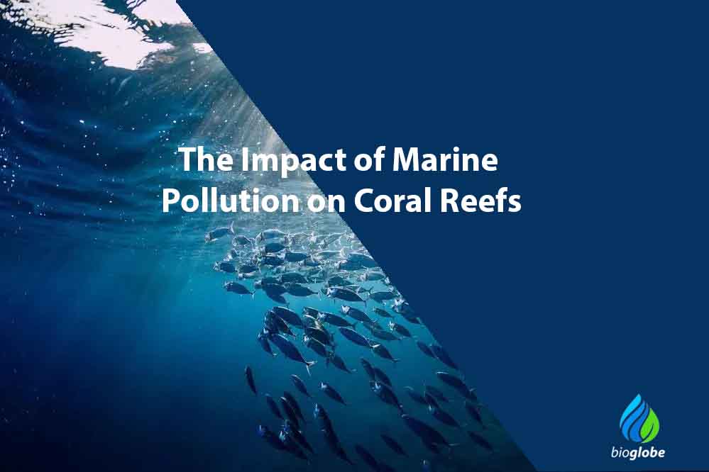 The Impact of Marine Pollution on Coral Reefs