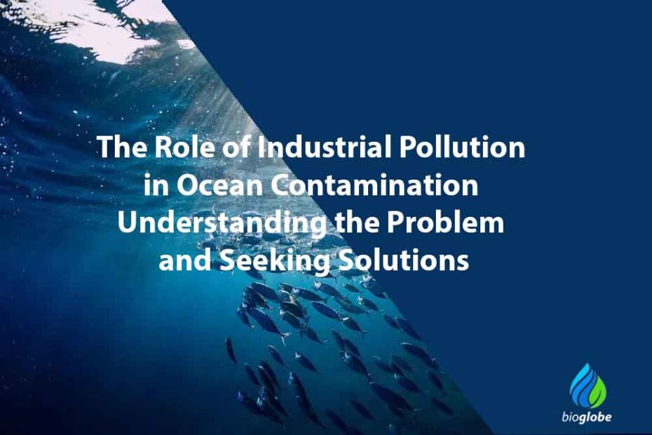 The Role of Industrial Pollution in Ocean Contamination Understanding the Problem and Seeking Solutions
