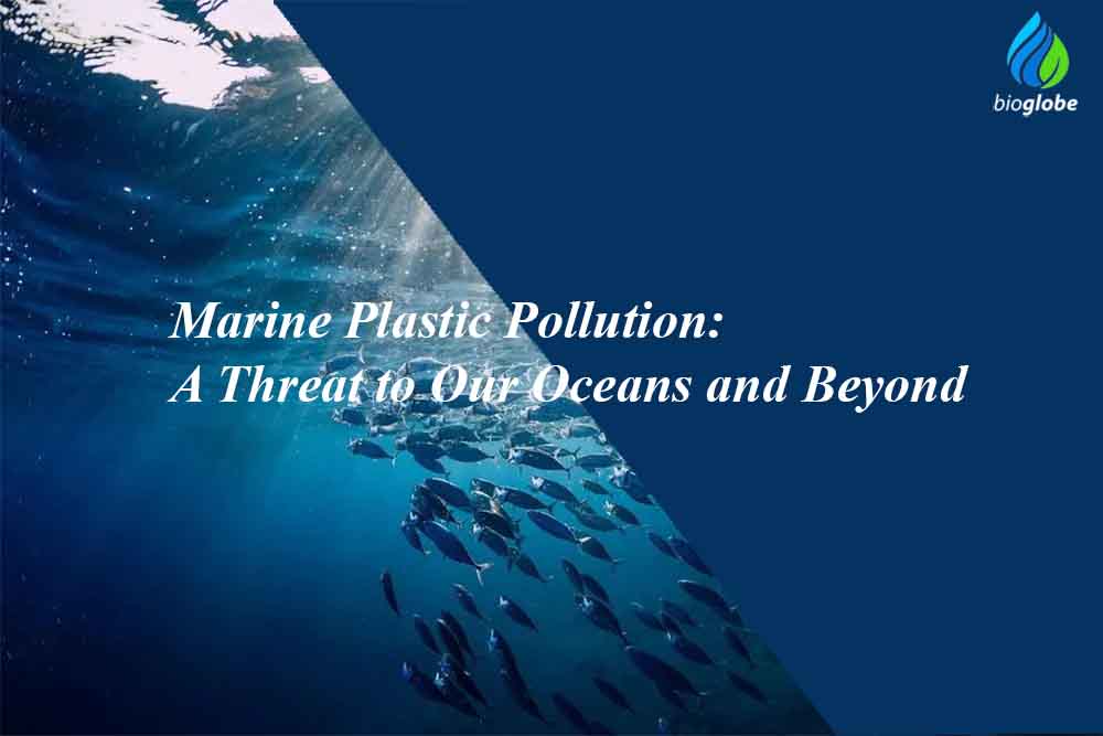 Marine Plastic Pollution A Threat to Our Oceans and Beyond