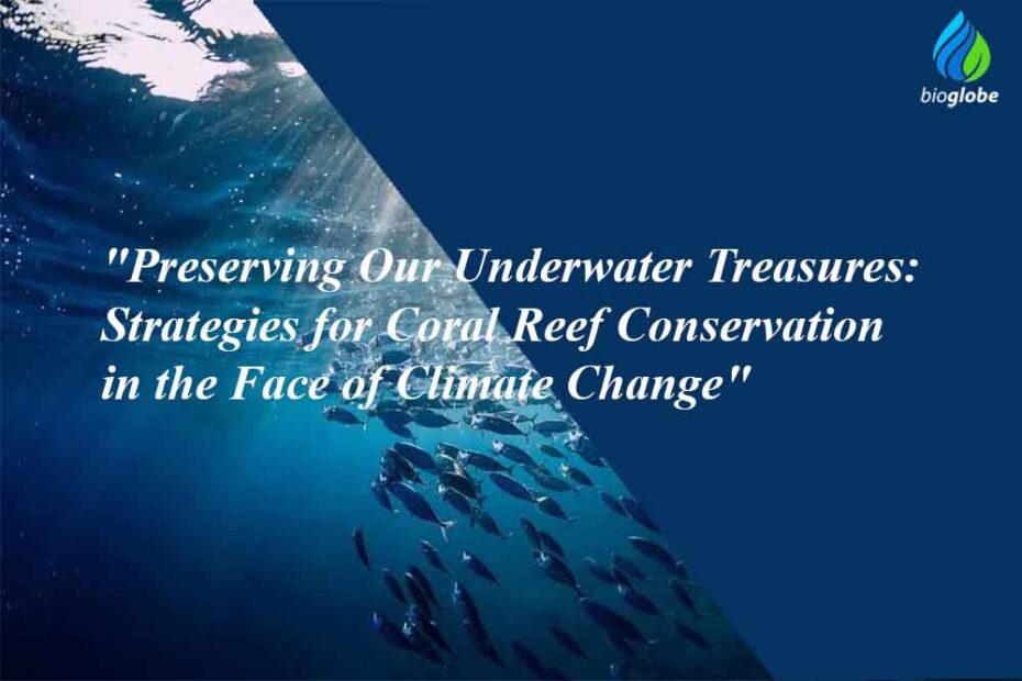 Strategies for Coral Reef Conservation in the Face of Climate Change