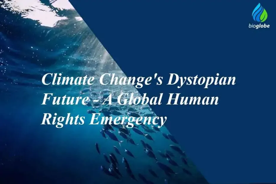 Climate Changes Dystopian Future A Global Human Rights Emergency
