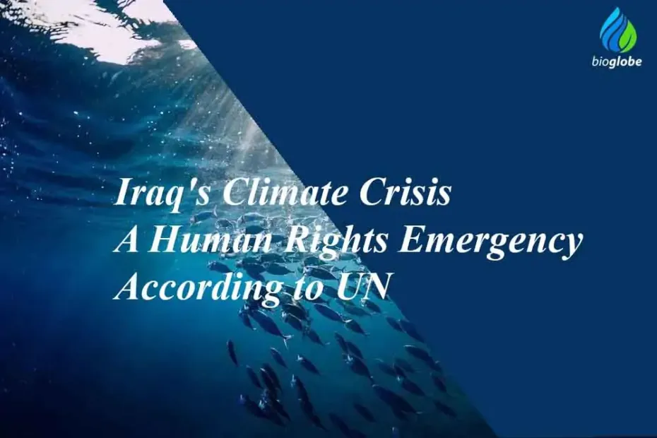 Iraqs Climate Crisis A Human Rights Emergency According to UN