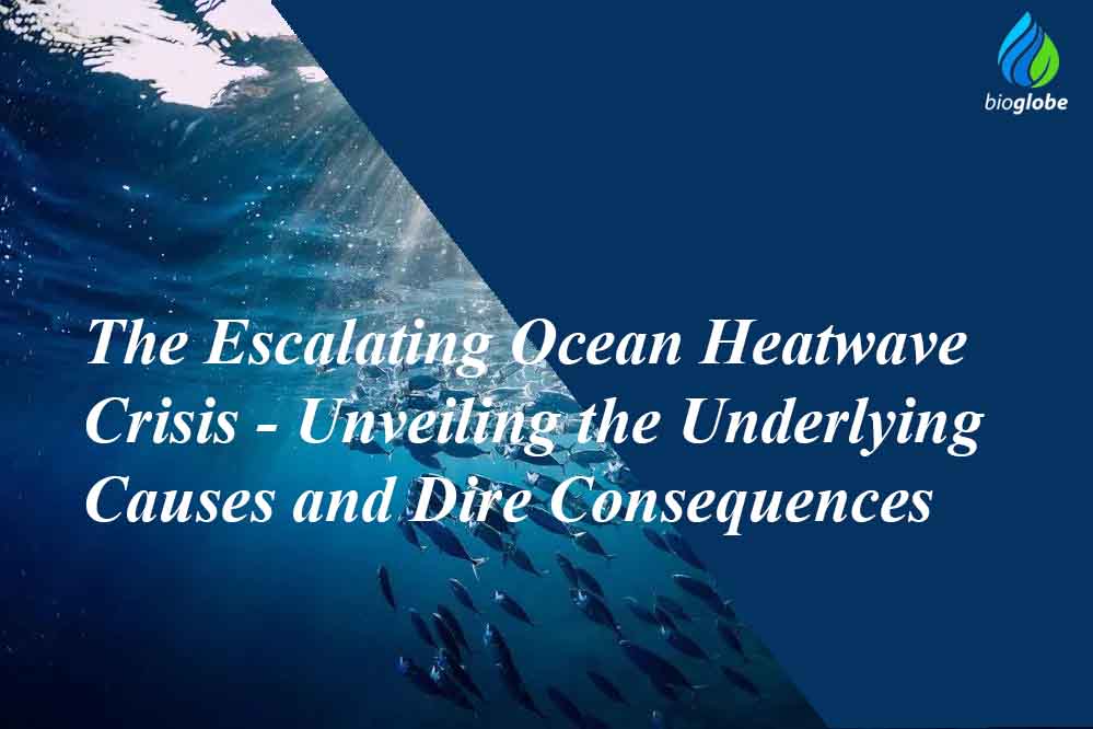 The Escalating Ocean Heatwave Crisis Unveiling the Underlying Causes and Dire Consequences