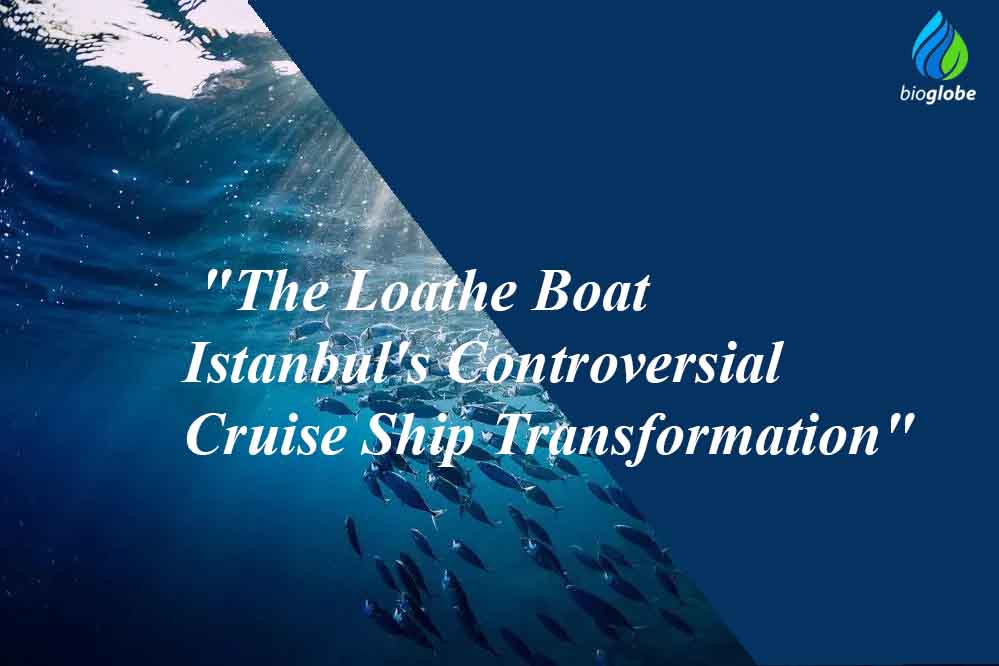 The Loathe Boat Istanbuls Controversial Cruise Ship Transformation