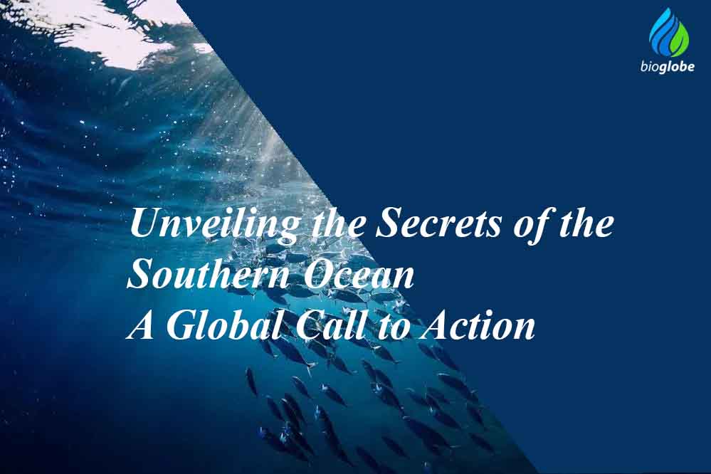 Unveiling the Secrets of the Southern Ocean A Global Call to Action