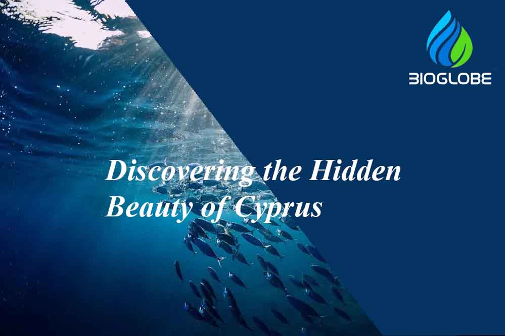 Discovering the Hidden Beauty of Cyprus