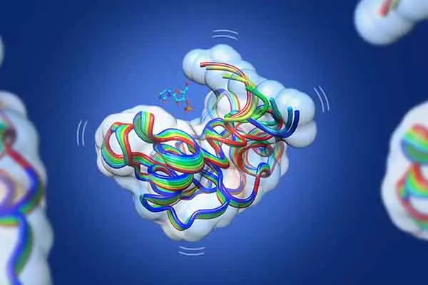 Our Research 2 Enzyme 600x400 1