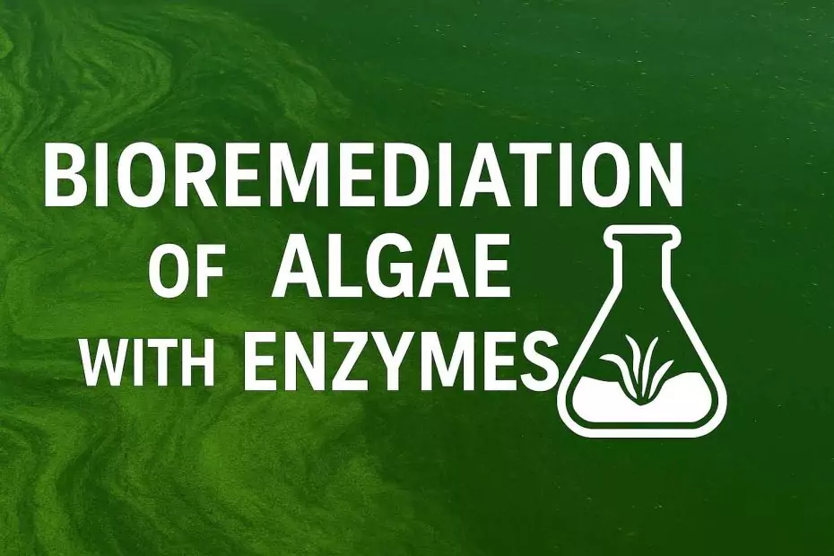 Bioremediation of Algae with Enzymes