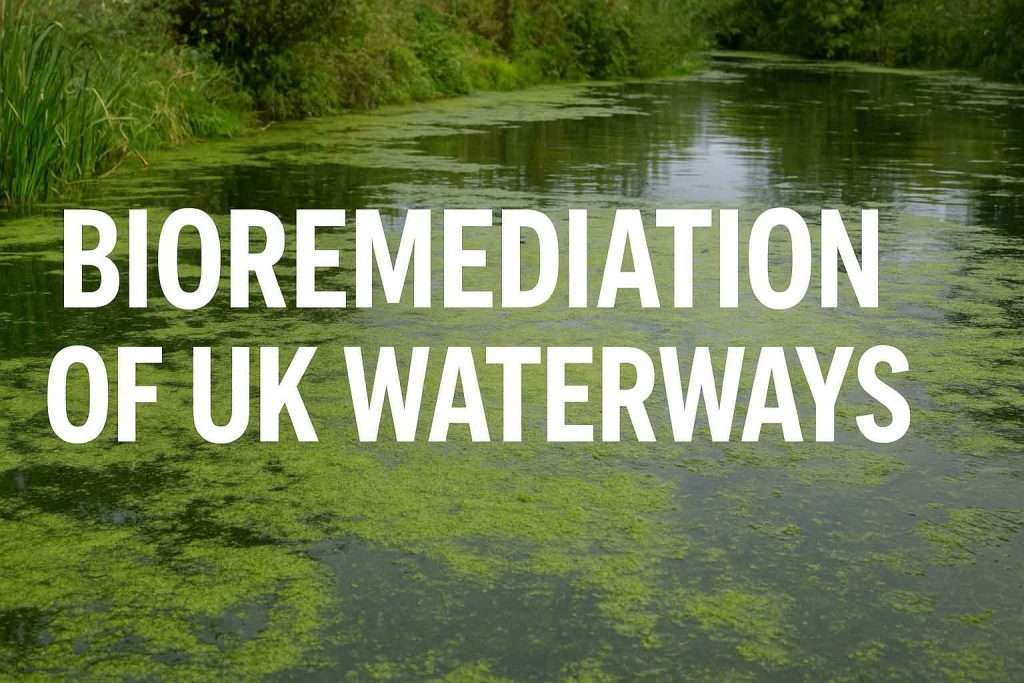 Bioremediation of UK Waterways