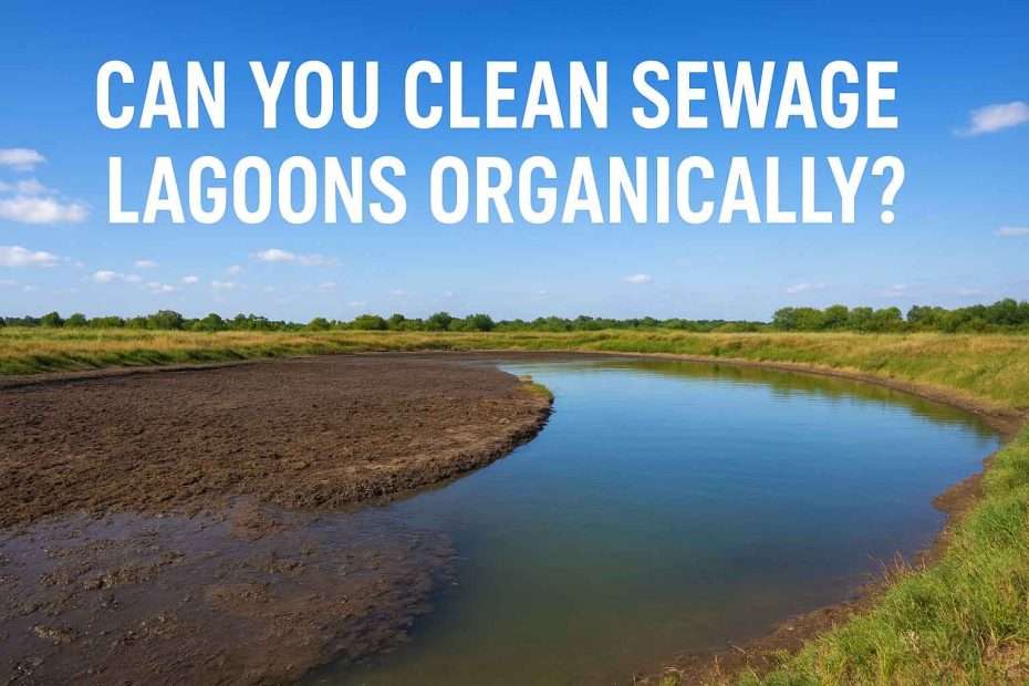 Can You Clean Sewage Lagoons Organically