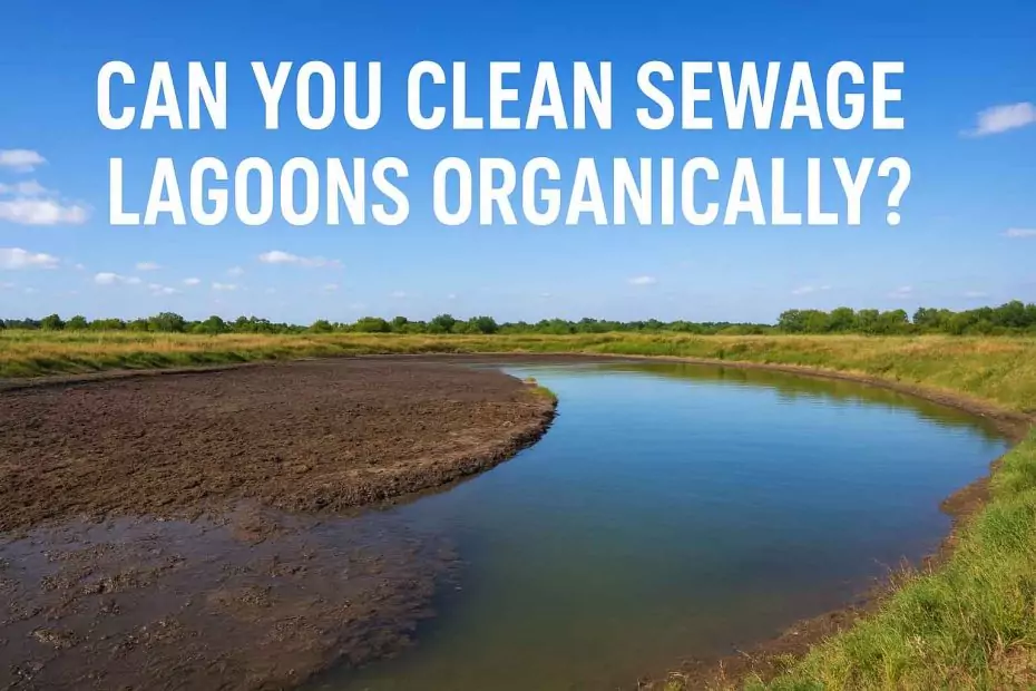 Can You Clean Sewage Lagoons Organically