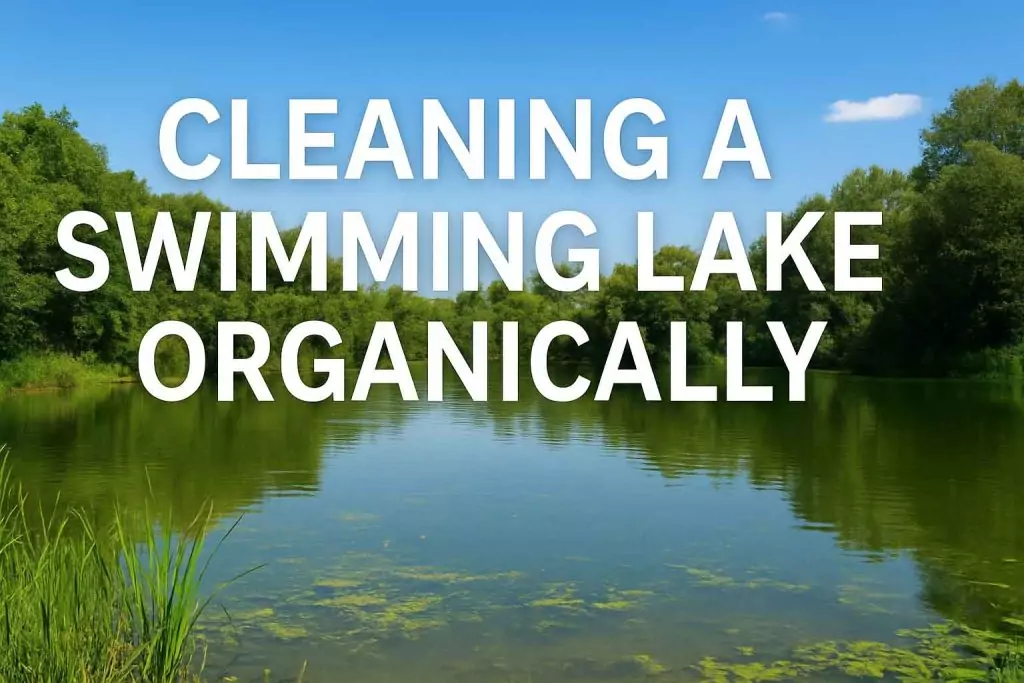 Cleaning a Swimming Lake Organically