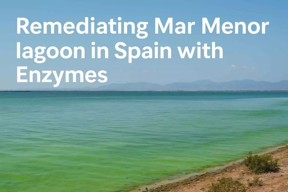Remediating Mar Menor Lagoon in Spain with Enzymes 1 Remediating Mar Menor Lagoon in Spain with Enzymes