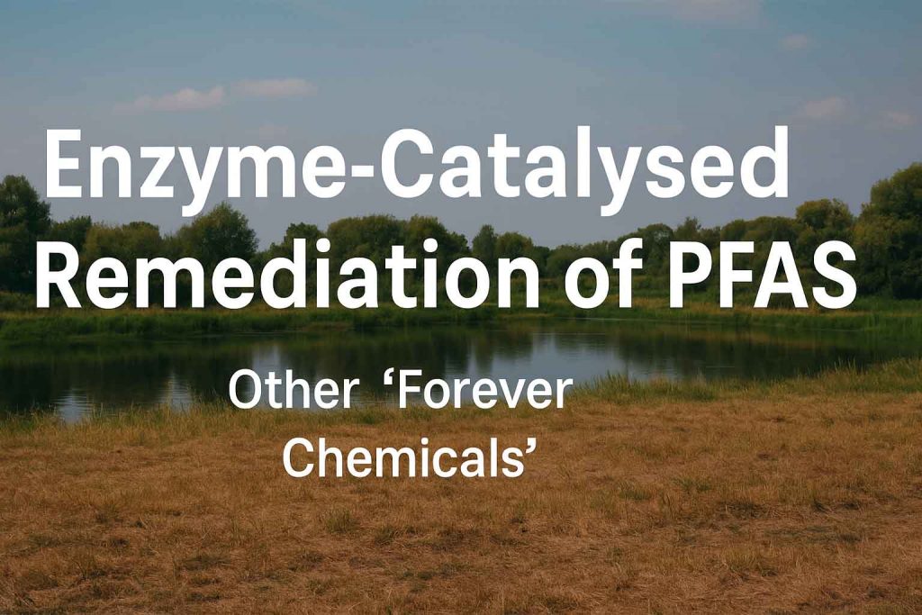 Enzyme-Catalysed Remediation of PFAS and Other ‘Forever Chemicals’