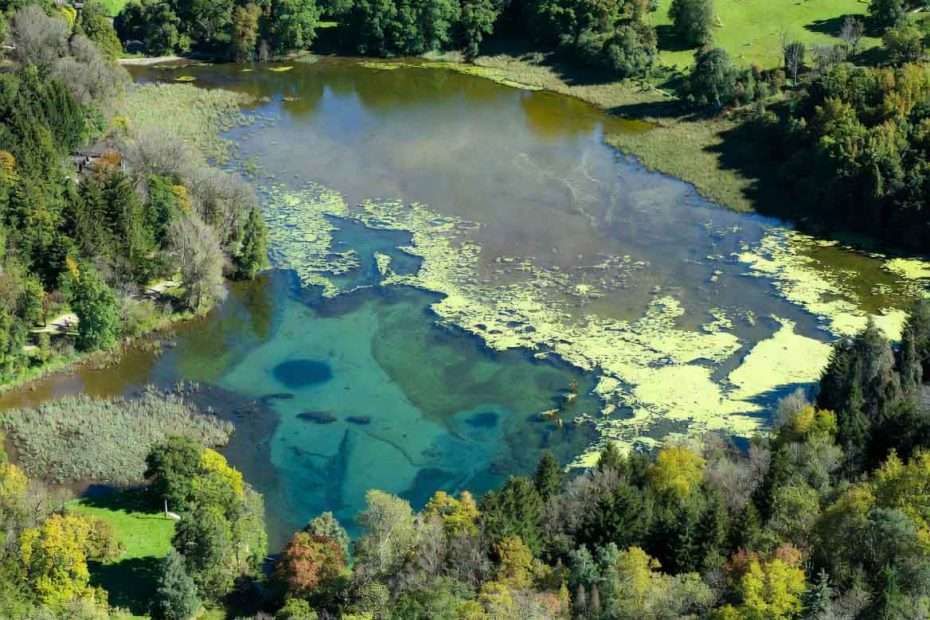 Remediating Lake Windermere