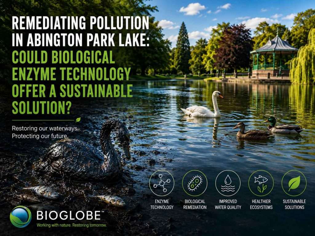 Remediating Pollution in Abington Park Lake